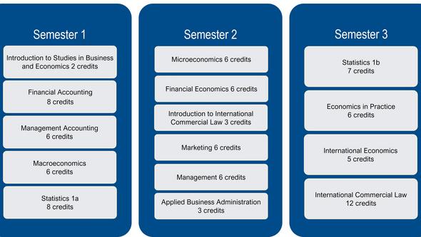 Bachelor's Programme In Business And Economics: Courses And Choices ...